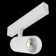 Светильник на штанге ST-Luce SKYLINE 220 ST660.596.20H