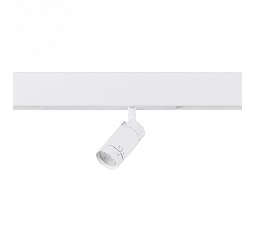 Светильник на штанге ST-Luce SKYLINE 220 ST660.596.20H