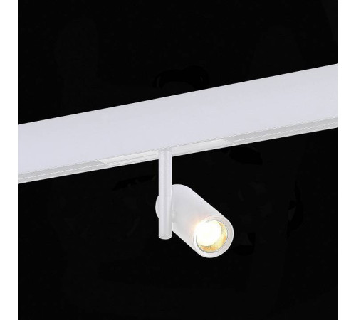 Светильник на штанге ST-Luce ST808 ST808.536.08