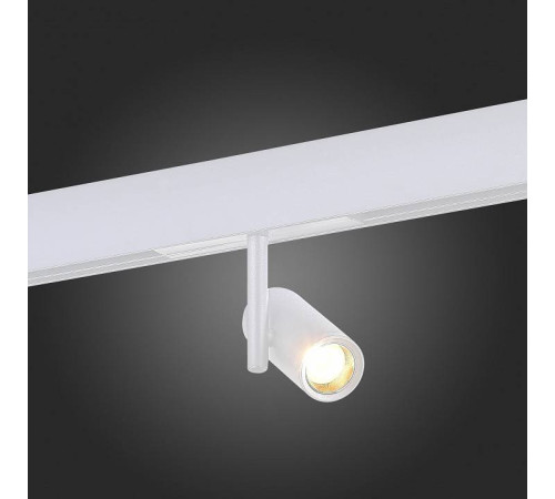 Светильник на штанге ST-Luce ST808 ST808.536.08