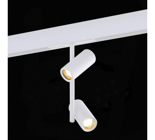 Светильник на штанге ST-Luce ST808 ST808.536.16