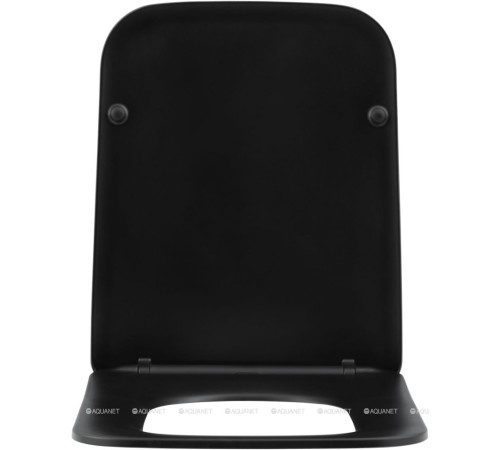 Унитаз подвесной Aquanet TAVR-W BW безободковый с сиденьем Soft Close черный матовый 00287011