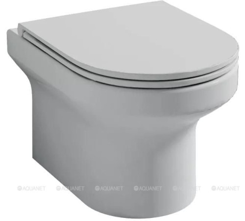 Унитаз подвесной Jacob Delafon Elite EDX114RU-00 500х360 мм с сиденьем EDX114RU-00