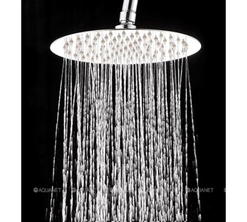 Верхний душ Aquanet Passion R 400 мм круглый нержавеющая сталь AF301-84-RXL