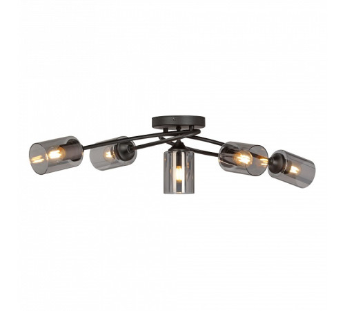 Потолочная люстра Vitaluce V2048 V2048-1/5PL