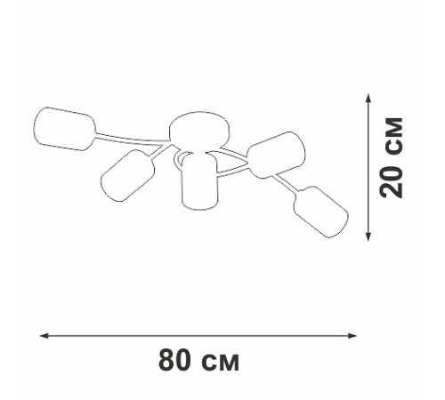 Потолочная люстра Vitaluce V2048 V2048-1/5PL