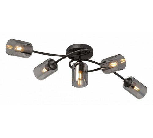 Потолочная люстра Vitaluce V2048 V2048-1/5PL