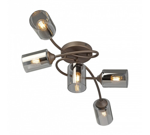 Потолочная люстра Vitaluce V2048 V2048-7/5PL