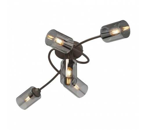 Потолочная люстра Vitaluce V2048 V2048-7/5PL