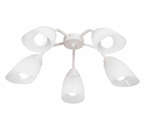 Потолочная люстра Vitaluce V31950 V31950/5PL