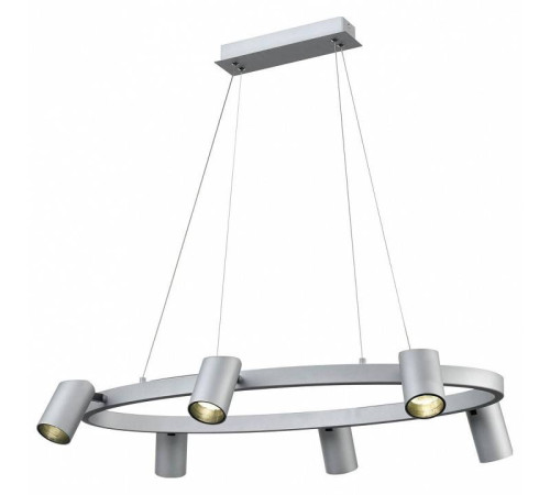 Подвесной светильник Vele Luce Zoom VL10113P06