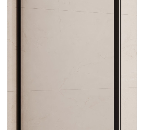 Душевая перегородка RGW WA-012B 900x2000 мм черный 35101290-84