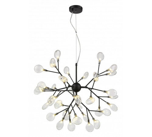 Подвесная люстра Wertmark Fiorita WE241.36.023