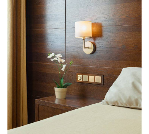 Выключатель одноклавишный без рамки Werkel шампань a050869