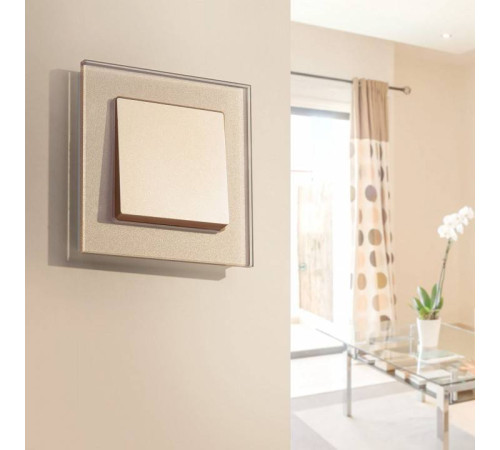 Выключатель одноклавишный без рамки Werkel шампань a050869