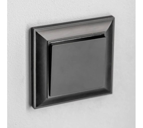 Рамка на 1 пост Werkel Fiore 2 W0012208