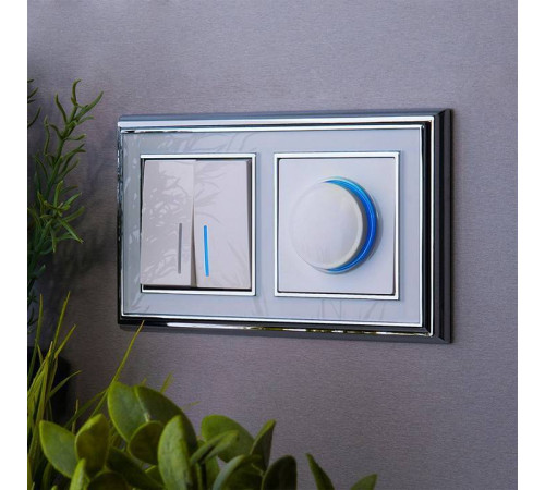 Выключатель двухклавишный с подсветкой без рамки Werkel W112 4 W1120101