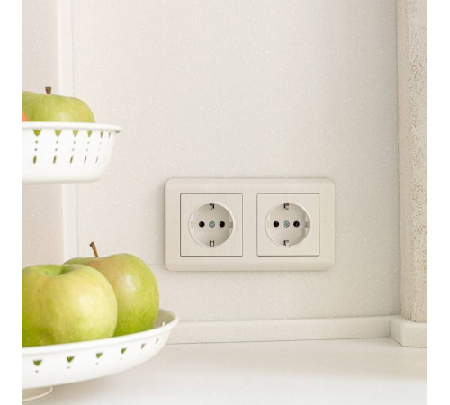 Розетка с заземлением, без рамки Werkel W117 5 W1171013