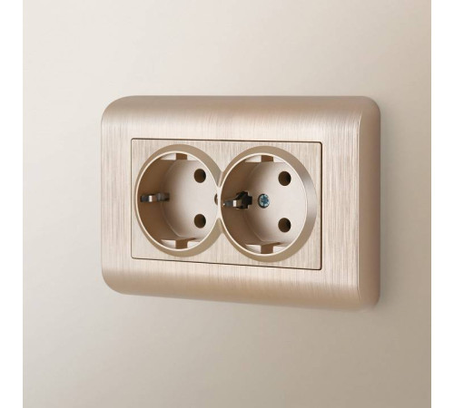 Розетка двойная с заземлением, без рамки Werkel шампань рифленый W1172010