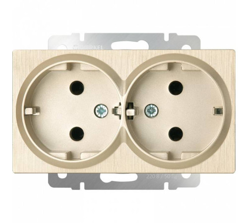 Розетка двойная с заземлением, без рамки Werkel шампань рифленый W1172010