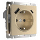 Розетка с заземлением и с шторками и USB, без рамки Werkel шампань рифленый W1171710