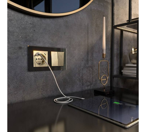 Розетка с заземлением и с шторками и USB, без рамки Werkel шампань рифленый W1171710