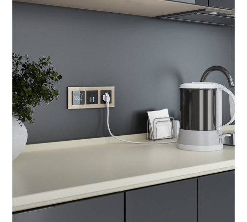 Терморегулятор электромеханический для теплого пола Werkel черные W1151208