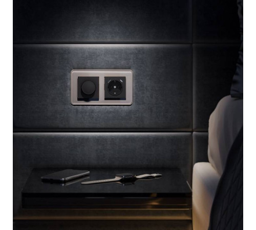 Рамка на 2 поста Werkel Elite (дымчатый, стекло) W0022417