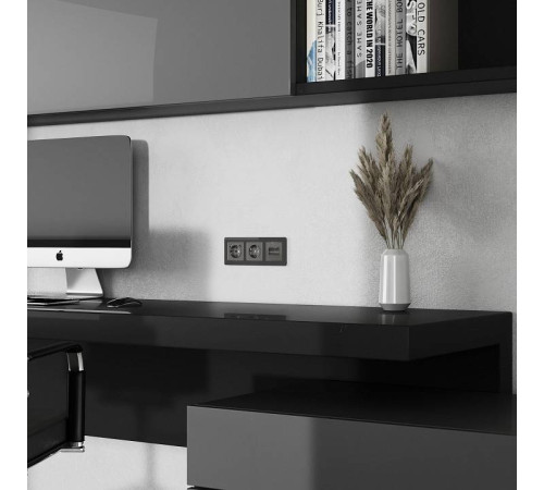 Накладка для розетки Ethernet RJ-45 Werkel Графит акрил W1191144