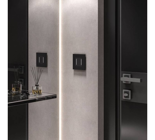 Выключатель сенсорый двухклавишный с подсветкой и функцией Wi-Fi, без рамки Werkel черные W4523008