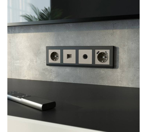 ТВ-розетка без рамки Werkel дымчатый W1283004