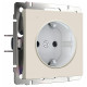 Розетка с заземлением с подсветкой, без рамки Werkel DBQ29 W1171462