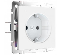 Розетка с заземлением с подсветкой, без рамки Werkel DBQ29 W1171461