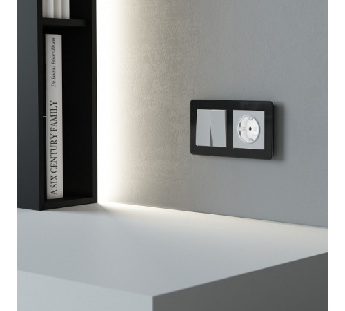 Розетка с заземлением с подсветкой, без рамки Werkel DBQ29 W1171461