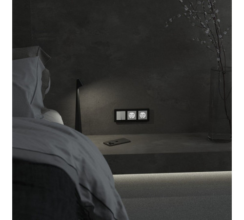 Розетка с заземлением с подсветкой, без рамки Werkel DBQ29 W1171461