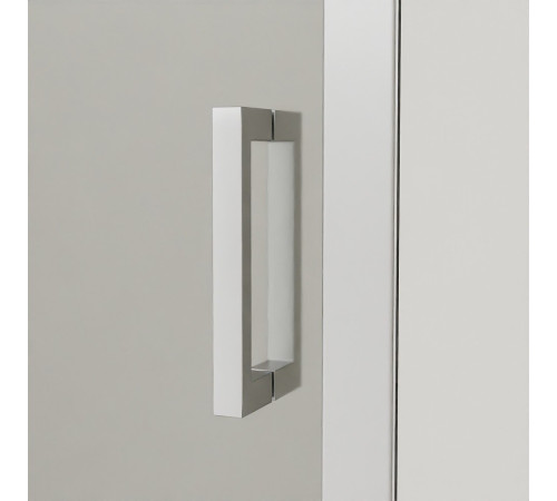 Душевая дверь RGW Passage PA-016 1000x1850 мм хром 350801610-11