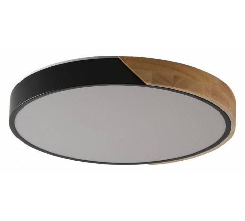 Накладной светильник Zortes ALBERRO ZRS.01287.36