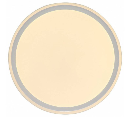 Накладной светильник Zortes BELLA ZRS.1200.07