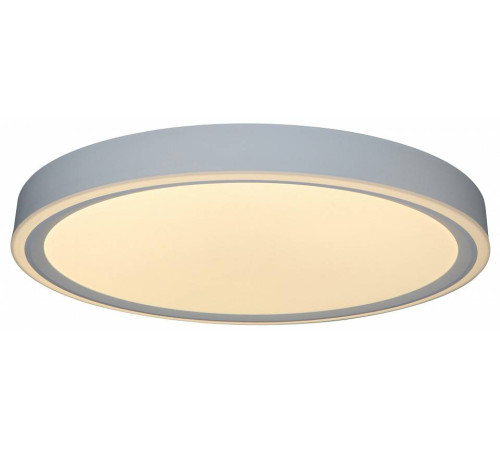 Накладной светильник Zortes BELLA ZRS.1200.07