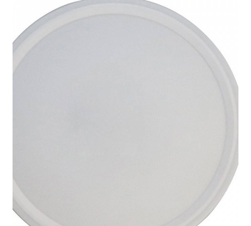 Накладной светильник Zortes BELLA ZRS.1200.07