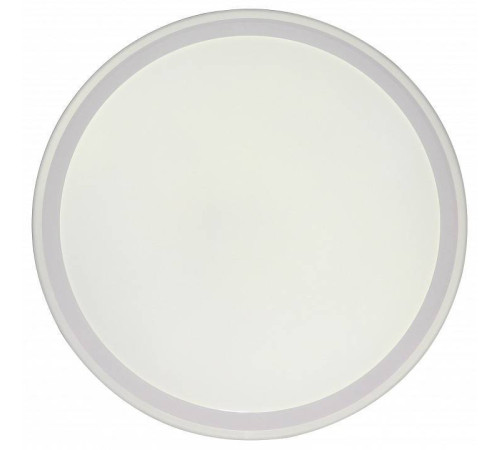 Накладной светильник Zortes BELLA ZRS.1200.09