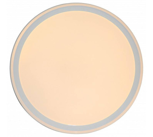 Накладной светильник Zortes BELLA ZRS.1200.09