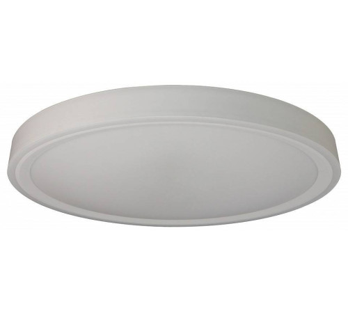 Накладной светильник Zortes BELLA ZRS.1200.09