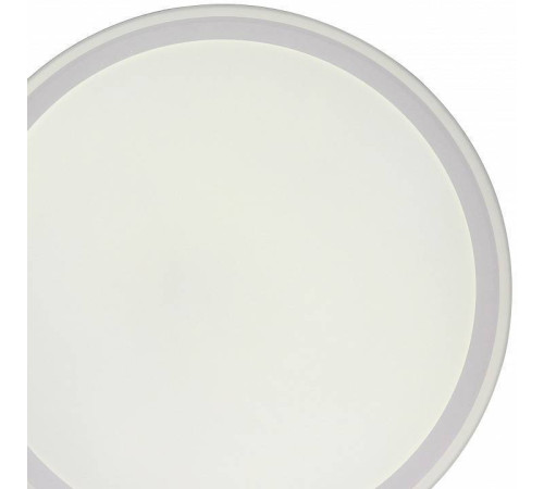 Накладной светильник Zortes BELLA ZRS.1200.09