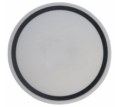 Накладной светильник Zortes BELLA ZRS.1201.04