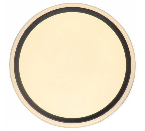 Накладной светильник Zortes BELLA ZRS.1201.04