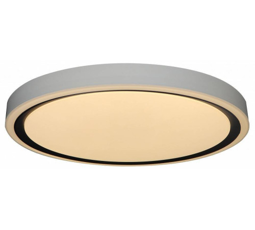 Накладной светильник Zortes BELLA ZRS.1201.04