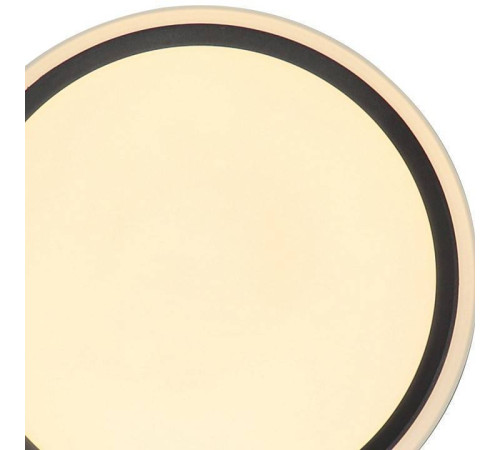 Накладной светильник Zortes BELLA ZRS.1201.04