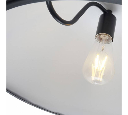 Подвесной светильник Zortes Korkee ZRS.1802.50