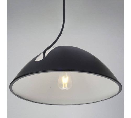 Подвесной светильник Zortes Korkee ZRS.1802.50